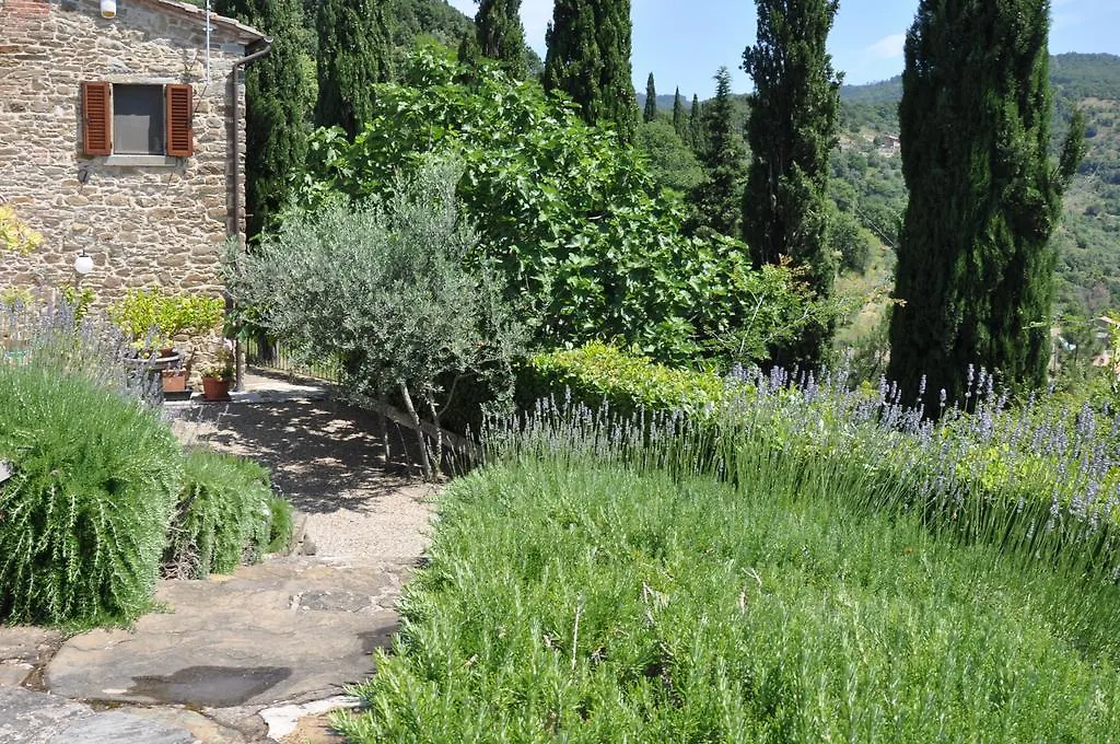 Villa Rosa Cortona