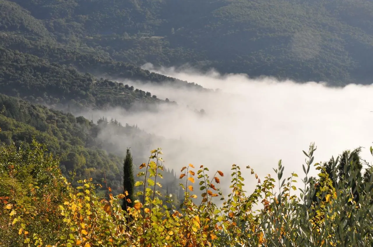 Villa Rosa Cortona